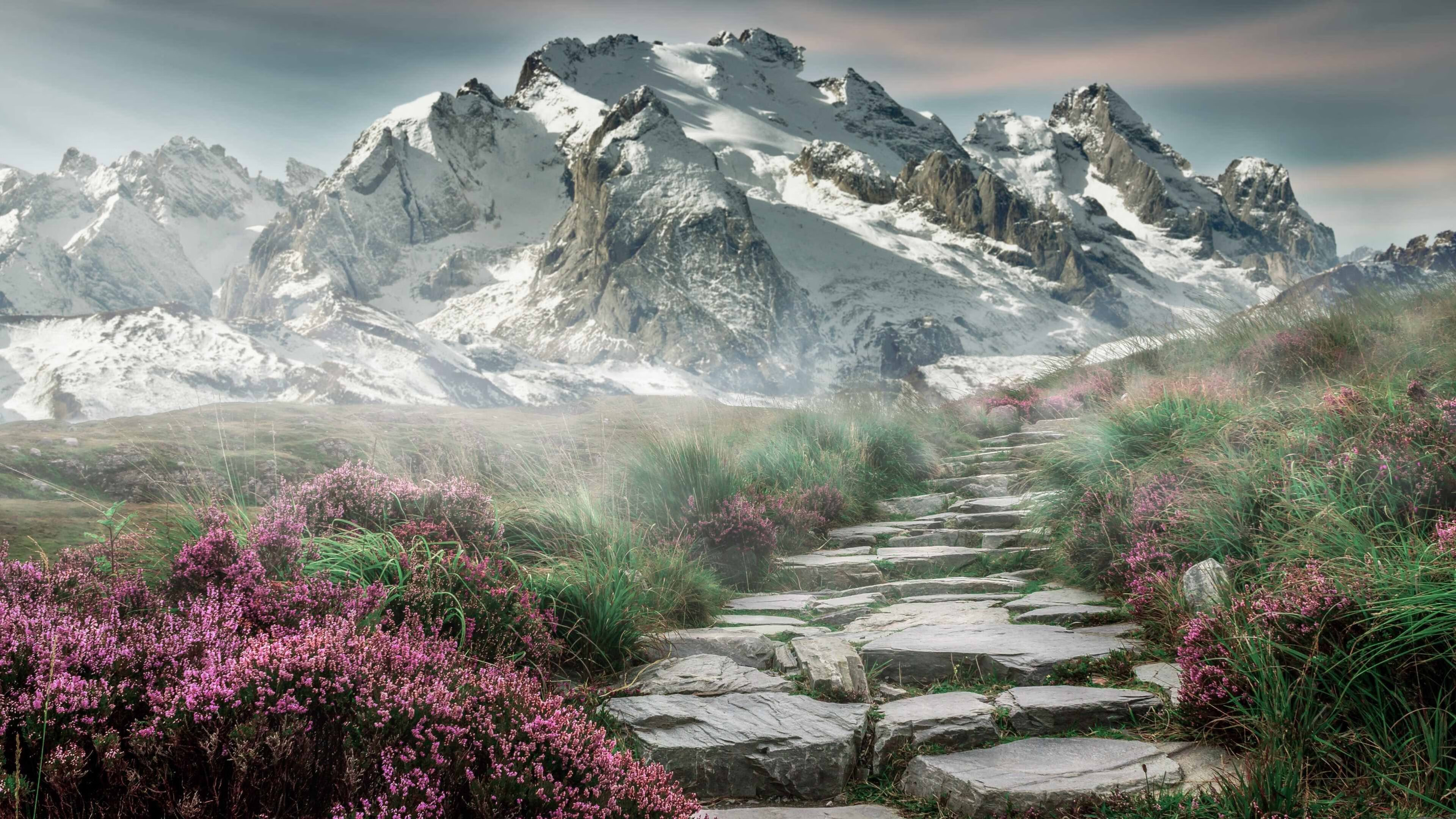 v7.2.5 版本详情，2026年2月14日，一次关于效率与安全的深度革新